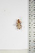  ( - BC-TB5066)  @11 [ ] Copyright (2010) Unspecified Research Collection of Thierry Bouyer