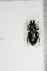  ( - BC-TB5133)  @12 [ ] Copyright (2010) Unspecified Research Collection of Thierry Bouyer