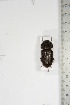  ( - BC-TB5140)  @11 [ ] Copyright (2010) Unspecified Research Collection of Thierry Bouyer
