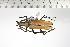 ( - BC-TB0717)  @11 [ ] Copyright (2010) Unspecified Research Collection of Thierry Bouyer
