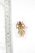  ( - BCTB3358)  @11 [ ] Copyright (2010) Unspecified Research Collection of Thierry Bouyer