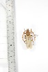  ( - BCTB3359)  @11 [ ] Copyright (2010) Unspecified Research Collection of Thierry Bouyer