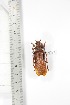  ( - BCTB3372)  @11 [ ] Copyright (2010) Unspecified Research Collection of Thierry Bouyer