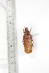  ( - BCTB3375)  @11 [ ] Copyright (2010) Unspecified Research Collection of Thierry Bouyer