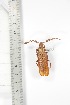  ( - BCTB3379)  @11 [ ] Copyright (2010) Unspecified Research Collection of Thierry Bouyer