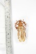  ( - BCTB3380)  @11 [ ] Copyright (2010) Unspecified Research Collection of Thierry Bouyer