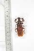  ( - BCTB3405)  @11 [ ] Copyright (2010) Unspecified Research Collection of Thierry Bouyer