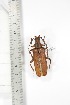  ( - BCTB3426)  @11 [ ] Copyright (2010) Unspecified Research Collection of Thierry Bouyer