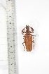  ( - BCTB3429)  @11 [ ] Copyright (2010) Unspecified Research Collection of Thierry Bouyer