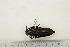  ( - BC-TB3231)  @12 [ ] Copyright (2010) Unspecified Research Collection of Thierry Bouyer