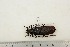  ( - BC-TB3233)  @12 [ ] Copyright (2010) Unspecified Research Collection of Thierry Bouyer