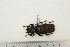  ( - BC-TB3237)  @12 [ ] Copyright (2010) Unspecified Research Collection of Thierry Bouyer
