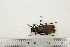  ( - BC-TB3238)  @12 [ ] Copyright (2010) Unspecified Research Collection of Thierry Bouyer