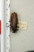  ( - BC-TB3270)  @11 [ ] Copyright (2010) Unspecified Research Collection of Thierry Bouyer