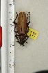  ( - BC-TB3293)  @11 [ ] Copyright (2010) Unspecified Research Collection of Thierry Bouyer