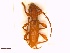  ( - CLV7823)  @11 [ ] CreativeCommons - Attribution Share-Alike (2022) Unspecified Institut National de la Recherche Agronomique, Zoologie Forestiere