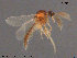  ( - AT-Cer15)  @13 [ ] CreativeCommons - Attribution Non-Commercial Share-Alike (2015) NTNU University Museum, Department of Natural History NTNU University Museum, Department of Natural History