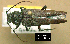  ( - NoA-08-005)  @11 [ ] Unspecified (default): All Rights Reserved  Unspecified Unspecified