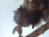  ( - GWS021225)  @11 [ ] Unspecified (default): All Rights Reserved  Unspecified Unspecified