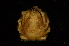  ( - ZSMA20061448)  @11 [ ] Copyright (2011) Roland Meyer Unspecified