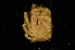  ( - ZSMA20061448)  @11 [ ] Copyright (2011) Roland Meyer Unspecified