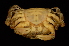  ( - ZSMA20111365)  @14 [ ] Copyright (2011) Roland Meyer Unspecified