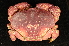  ( - ZSMA20111384)  @14 [ ] Copyright (2011) Roland Meyer Unspecified