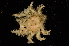  ( - ZSMA20111405)  @13 [ ] Copyright (2011) Roland Meyer Unspecified