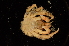  ( - ZSMA20111406)  @13 [ ] Copyright (2011) Roland Meyer Unspecified