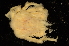  ( - ZSMA20111407)  @13 [ ] Copyright (2011) Roland Meyer Unspecified