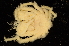  ( - ZSMA20111407)  @13 [ ] Copyright (2011) Roland Meyer Unspecified