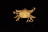  ( - ZSMA20111441)  @13 [ ] Copyright (2011) Roland Meyer Unspecified