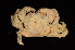  ( - ZSMA20111450)  @11 [ ] Copyright (2011) Roland Meyer Unspecified