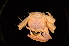  ( - ZSMA20111467)  @13 [ ] Copyright (2011) Roland Meyer Unspecified