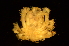  ( - ZSMA20111499)  @13 [ ] Copyright (2011) Roland Meyer Unspecified