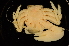  ( - ZSMA20111529)  @13 [ ] Copyright (2011) Roland Meyer Unspecified