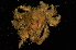  ( - ZSMA20111530)  @13 [ ] Copyright (2011) Roland Meyer Unspecified