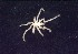  ( - ZSMA20111320)  @12 [ ] Copyright (2011) Andrea Weis Unspecified