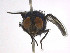  ( - SCFBI104)  @11 [ ] CreativeCommons - Attribution Share-Alike (2016) Eduardo Amat INPA