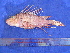  ( - SA8JZ093)  @11 [ ] Unspecified (default): All Rights Reserved  Unspecified Unspecified
