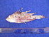  ( - SA8JZ097)  @11 [ ] Unspecified (default): All Rights Reserved  Unspecified Unspecified