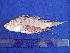  ( - SA8JZ098)  @11 [ ] Unspecified (default): All Rights Reserved  Unspecified Unspecified