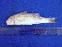  ( - SA8JZ105)  @12 [ ] Unspecified (default): All Rights Reserved  Unspecified Unspecified