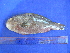  ( - SA8JZ109)  @12 [ ] Unspecified (default): All Rights Reserved  Unspecified Unspecified