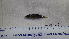  ( - NXG2013463)  @11 [ ] Copyright (2013) Unspecified Fisheries and Oceans Canada
