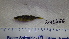  ( - NXG2013466)  @11 [ ] Copyright (2013) Unspecified Fisheries and Oceans Canada