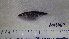 ( - NXG2013467)  @11 [ ] Copyright (2013) Unspecified Fisheries and Oceans Canada
