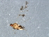  ( - CGAEC-016)  @14 [ ] Unspecified (default): All Rights Reserved  Unspecified Unspecified