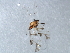  ( - CGAEC-018)  @13 [ ] Unspecified (default): All Rights Reserved  Unspecified Unspecified