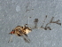  ( - CGAEC-022)  @13 [ ] Unspecified (default): All Rights Reserved  Unspecified Unspecified